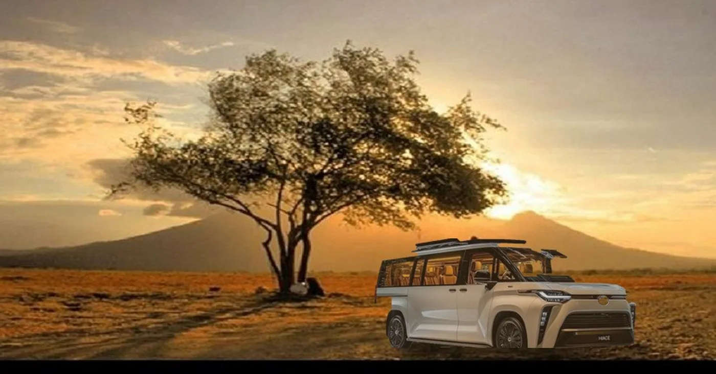 Jelajahi Taman Nasional Baluran & Destinasi Lainnya